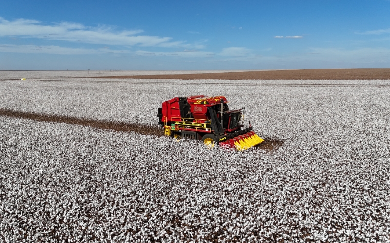 Boshiran Cotton Pickers in Xinhua Report as Chinese Cotton Technology Expands in Central Asia