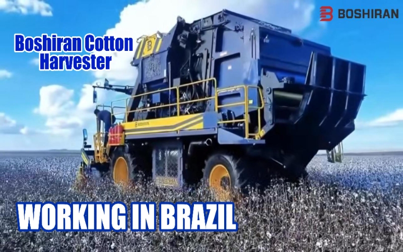 When Should Cotton Picker Spindles and Doffers Be Replaced?