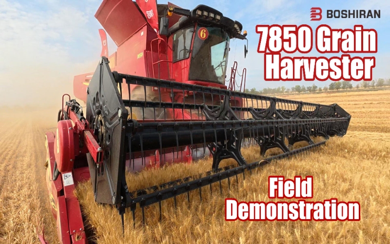 Can You Pick Cotton When It Is Wet? How Moisture Affects Cotton Picker Performance